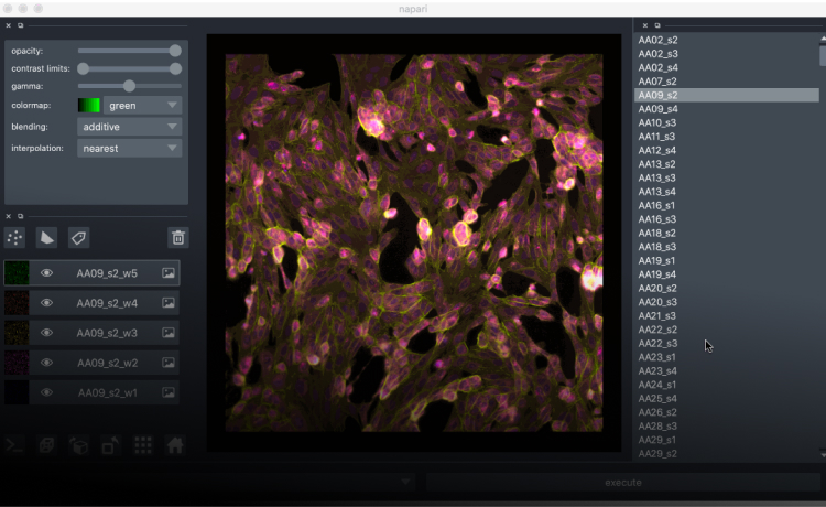 a screenshot of the napari imaging tool