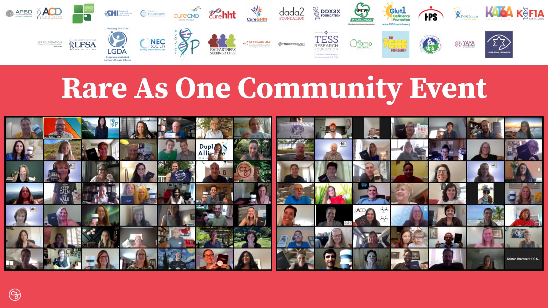 An overview photo containing two screenshots of meeting attendees on Zoom and logos of 30 participating organizations.