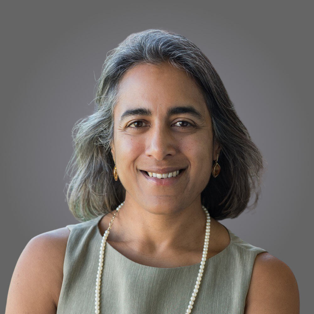 Hemai Parthasarathy
