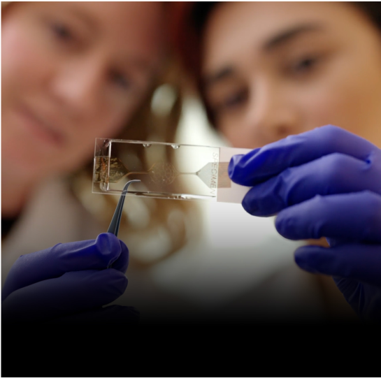 Close-up of scientists in a lab examining samples.